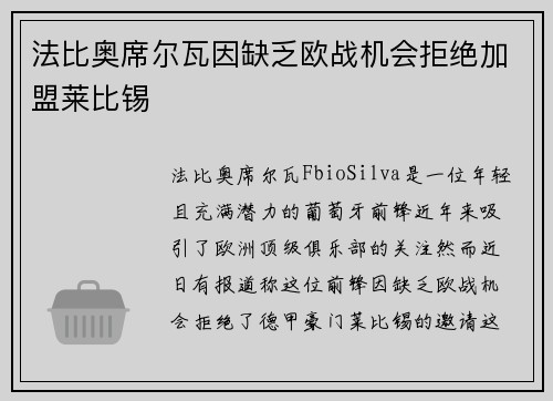 法比奥席尔瓦因缺乏欧战机会拒绝加盟莱比锡