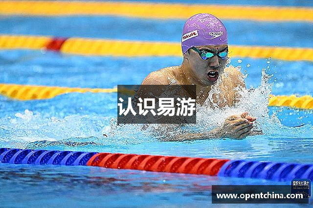 认识易游